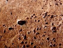 Durango Stone