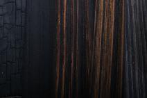 Shou Sugi Ban