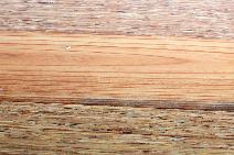 Nydree Engineered Acrylic Impregnated Flooring