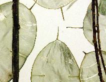 3-Form | Glass