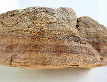 Sandstone