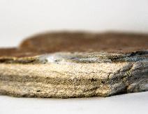 Schist