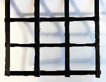 CarbonCast