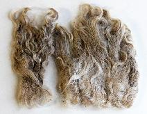 Duncan Ranch Animal Fibers
