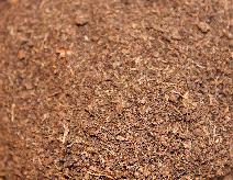 Fine Peat Moss