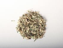 Shredded Money