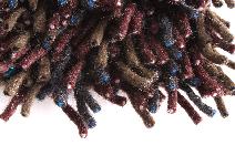 Corale by Kvadrat