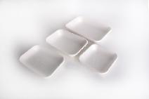 Sugarcane Containers