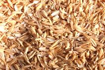 Rice Hulls
