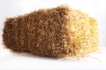 Straw Bale