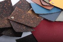 Fruitleather