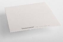 Terraskin