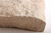 Lueders Limestone