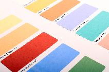 BioShield Clay Paint