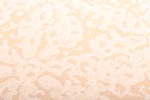 Maya Romanoff | Chantilly Lace