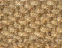 Sisal