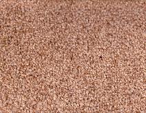 Broadloom & Modular Commercial Carpet