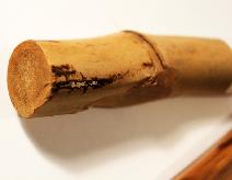 Yucatan Bamboo