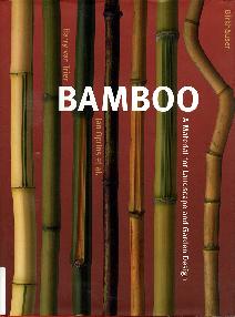 Bamboo