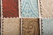 Filigree | Portfolio Collection