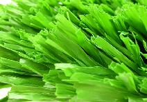SoftLawn