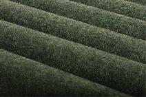 Reed