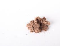 ProGanics